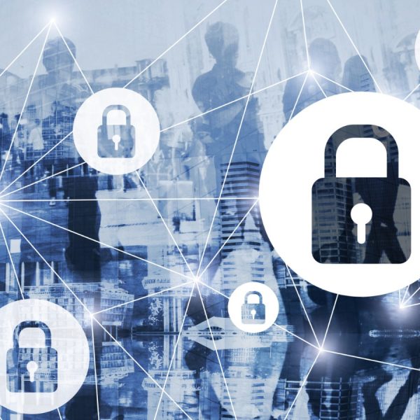 WhatsApp Image 2025-11-27 at 2.41.10 PM